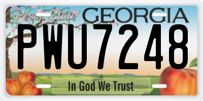 GA license plate PWU7248