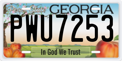 GA license plate PWU7253