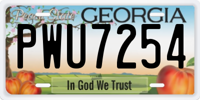 GA license plate PWU7254