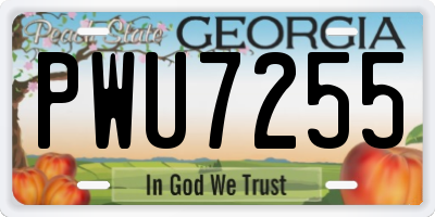 GA license plate PWU7255