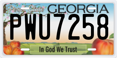 GA license plate PWU7258