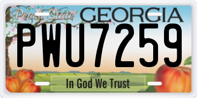 GA license plate PWU7259