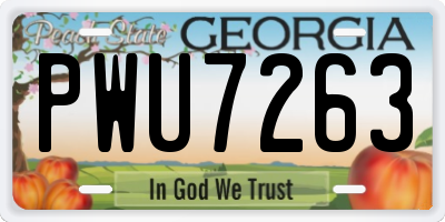 GA license plate PWU7263