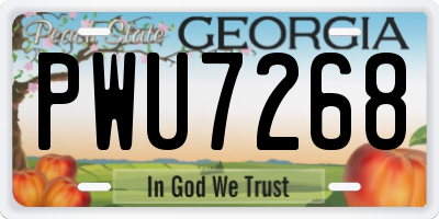 GA license plate PWU7268
