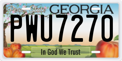 GA license plate PWU7270