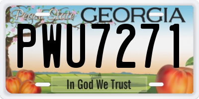 GA license plate PWU7271