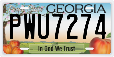 GA license plate PWU7274
