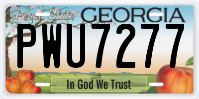 GA license plate PWU7277
