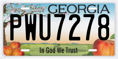 GA license plate PWU7278
