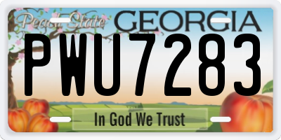 GA license plate PWU7283