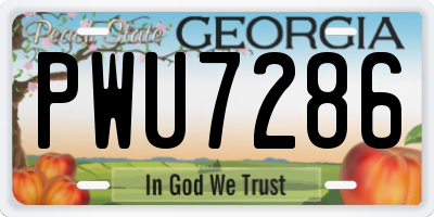 GA license plate PWU7286