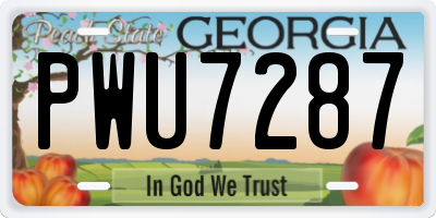 GA license plate PWU7287