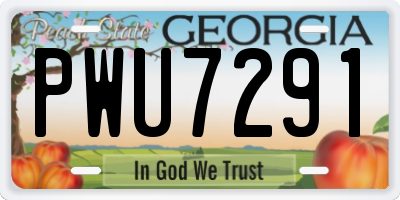 GA license plate PWU7291