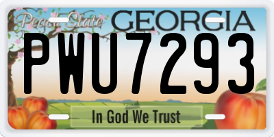 GA license plate PWU7293