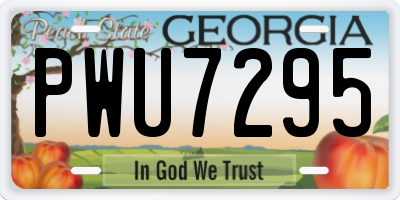 GA license plate PWU7295