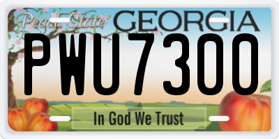 GA license plate PWU7300