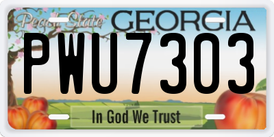GA license plate PWU7303