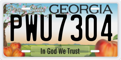 GA license plate PWU7304
