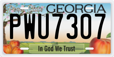 GA license plate PWU7307