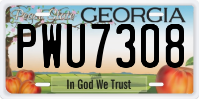 GA license plate PWU7308