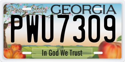 GA license plate PWU7309