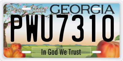 GA license plate PWU7310
