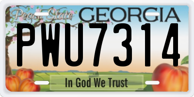 GA license plate PWU7314
