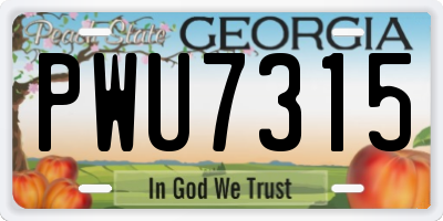 GA license plate PWU7315