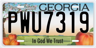 GA license plate PWU7319