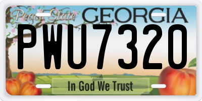 GA license plate PWU7320