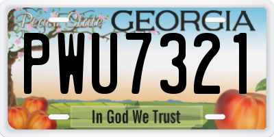 GA license plate PWU7321
