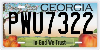 GA license plate PWU7322