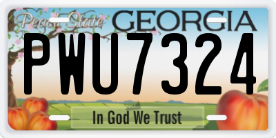 GA license plate PWU7324