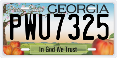 GA license plate PWU7325