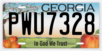 GA license plate PWU7328