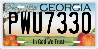 GA license plate PWU7330