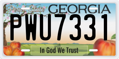 GA license plate PWU7331