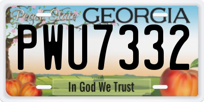 GA license plate PWU7332