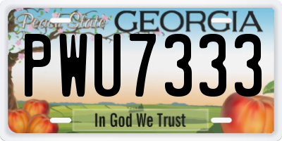 GA license plate PWU7333