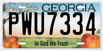 GA license plate PWU7334