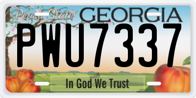 GA license plate PWU7337