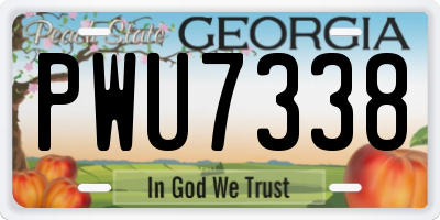 GA license plate PWU7338