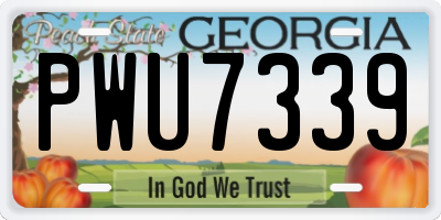 GA license plate PWU7339