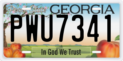 GA license plate PWU7341