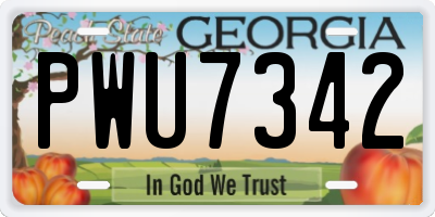 GA license plate PWU7342