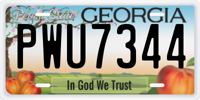 GA license plate PWU7344
