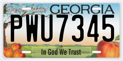 GA license plate PWU7345