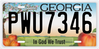 GA license plate PWU7346