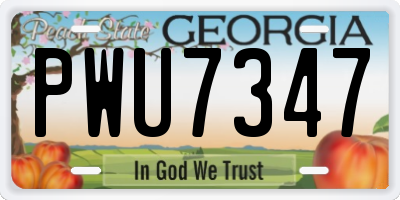 GA license plate PWU7347
