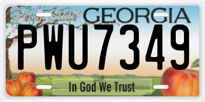 GA license plate PWU7349